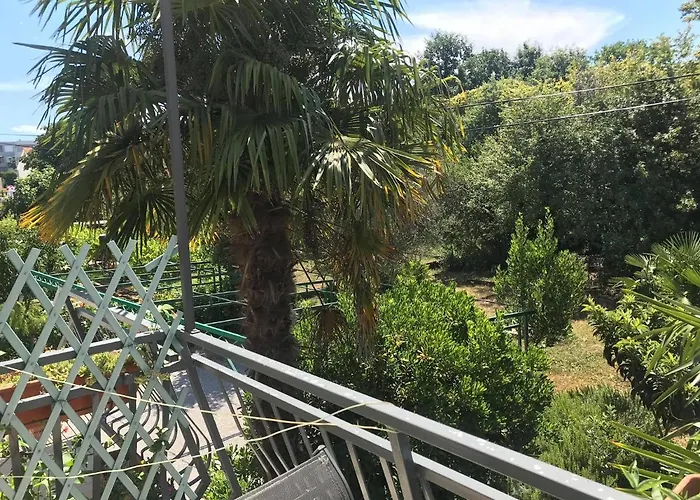 بيت ضيافة Draga نجيفيش