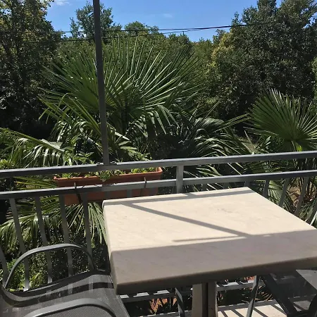 Draga Guest house *